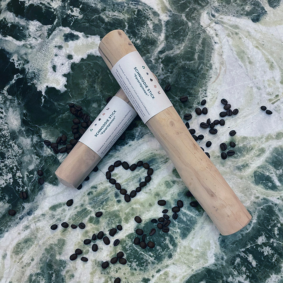 The stick - from coffee tree