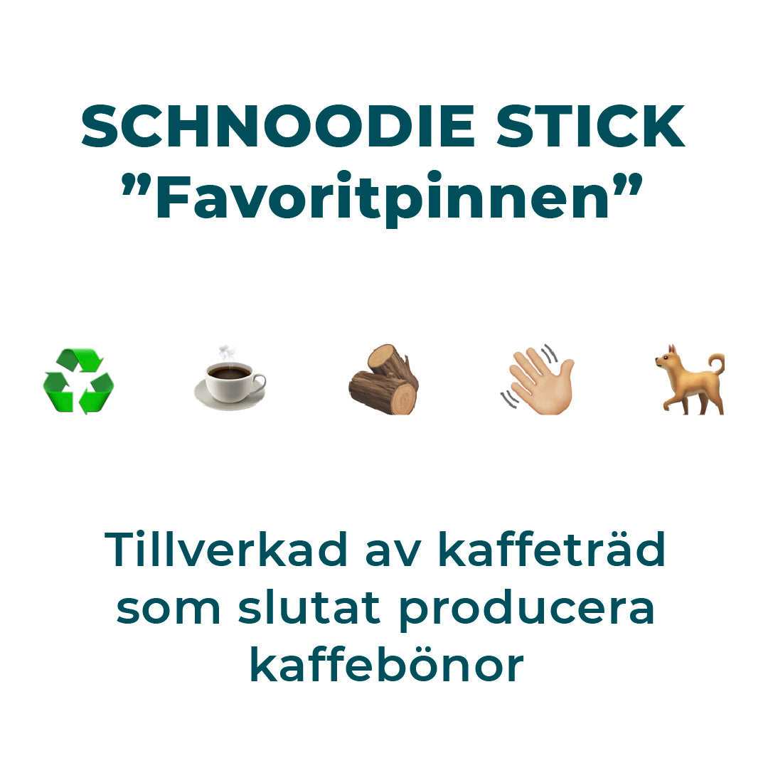 The stick - from coffee tree