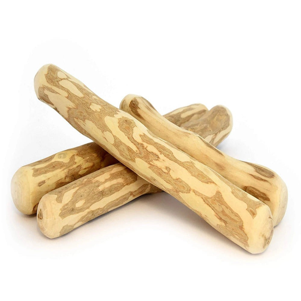 The stick - from coffee tree